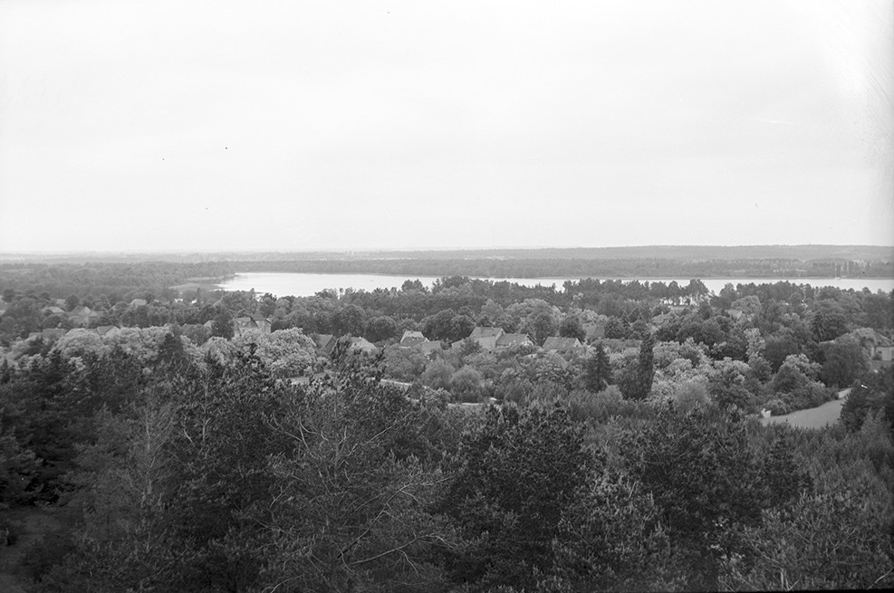 Kallinchen, Landschaft Ansicht 2 (Heimatverein "Alter Krug" Zossen e.V. CC BY-NC-SA)
