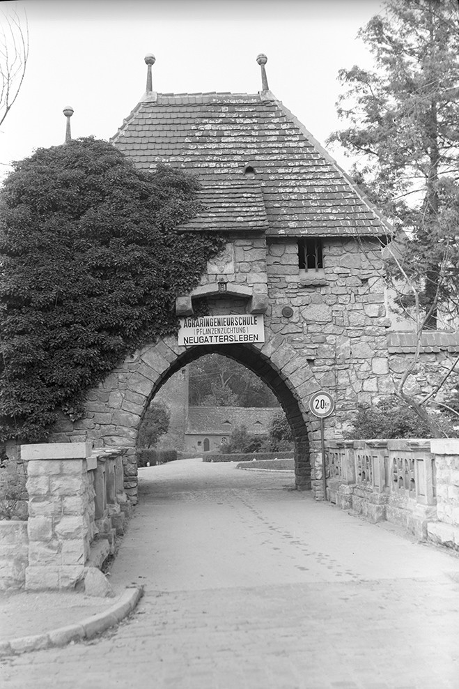 Neugattersleben, Schlosseingang (Heimatverein "Alter Krug" Zossen e.V. CC BY-NC-SA)