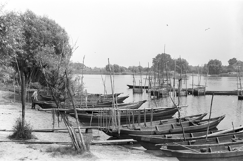 Plaue, Ruderboote an der Havel (Heimatverein "Alter Krug" Zossen e.V. CC BY-NC-SA)