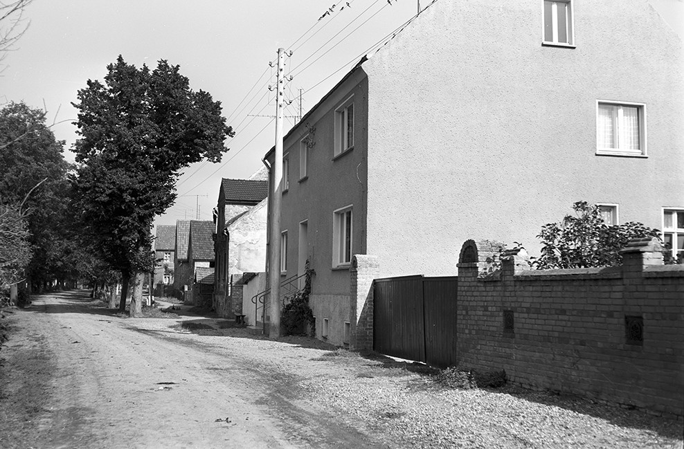Rade (Jessen), Ortsansicht 2 (Heimatverein "Alter Krug" Zossen e.V. CC BY-NC-SA)