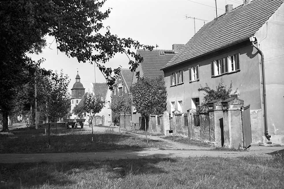 Rade (Jessen), Ortsansicht 3 (Heimatverein "Alter Krug" Zossen e.V. CC BY-NC-SA)