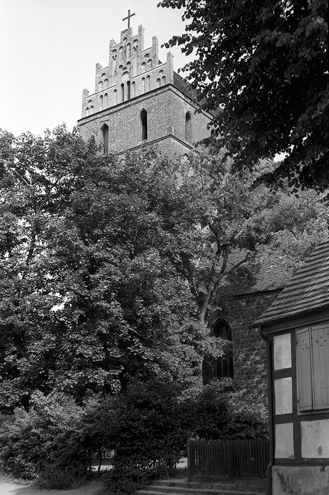Angermünde, Kirche St. Marien, Ansicht 1 (Heimatverein "Alter Krug" Zossen e.V. CC BY-NC-SA)