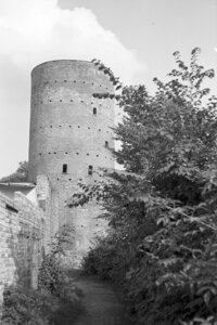 Sochidagi barcha fohishalar