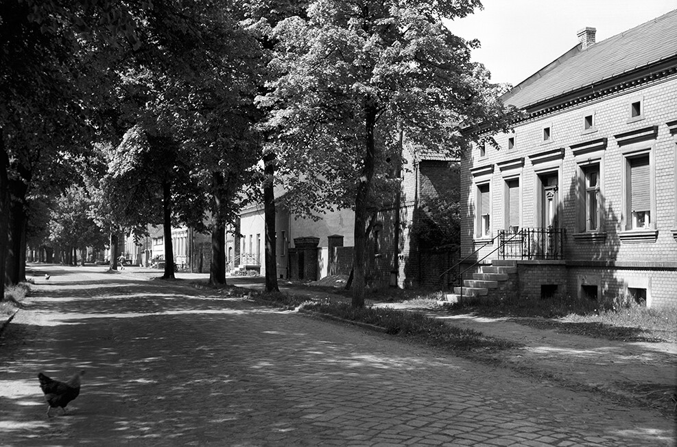 Groß Schulzendorf, Ortsansicht 2 (Heimatverein "Alter Krug" Zossen e.V. CC BY-NC-SA)