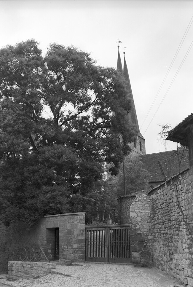 Hadmersleben, Klosterkirche u. Klostermauer (Heimatverein "Alter Krug" Zossen e.V. CC BY-NC-SA)