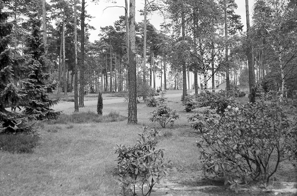 Halbe, Waldfriedhof, Ansicht 3 (Heimatverein "Alter Krug" Zossen e.V. CC BY-NC-SA)