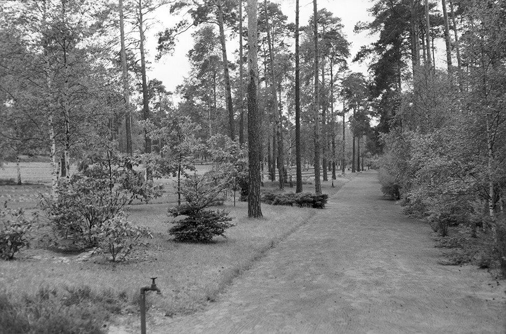 Halbe, Waldfriedhof, Ansicht 5 (Heimatverein "Alter Krug" Zossen e.V. CC BY-NC-SA)