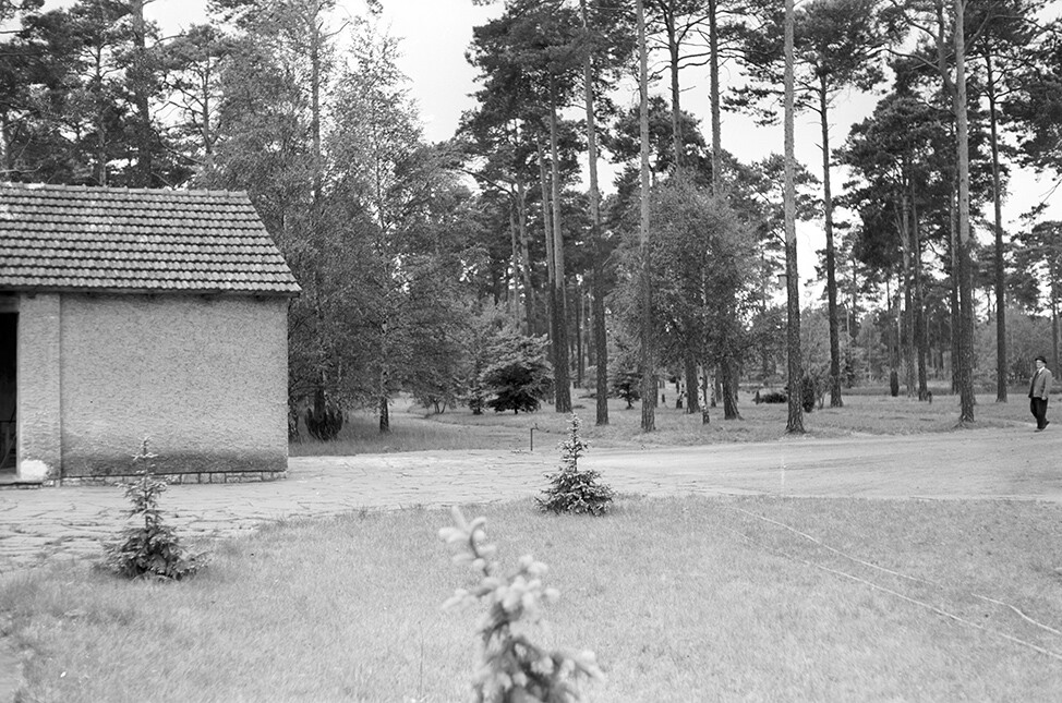 Halbe, Waldfriedhof, Ansicht 6 (Heimatverein "Alter Krug" Zossen e.V. CC BY-NC-SA)