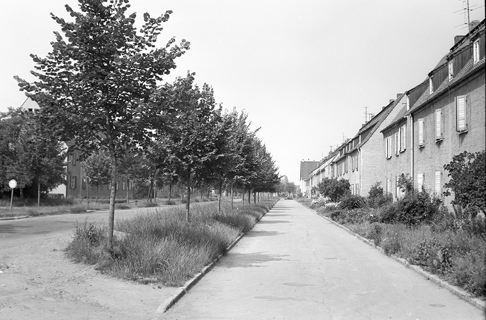 Nachterstedt, Ortsansicht 6 (Heimatverein "Alter Krug" Zossen e. V. CC BY-NC-SA)