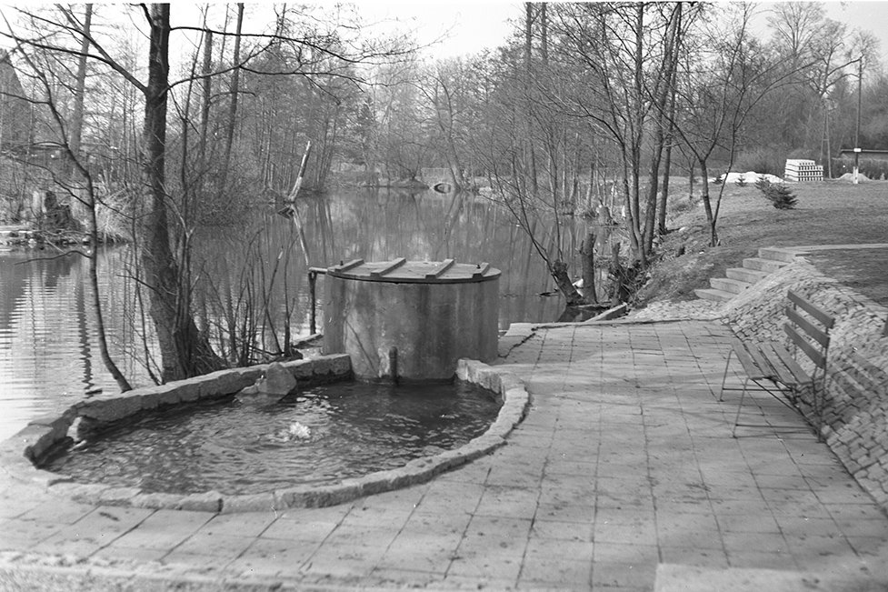 Sonnewalde, Teich im Schlosspark, Ansicht 6 (Heimatverein "Alter Krug" Zossen e. V. CC BY-NC-SA)