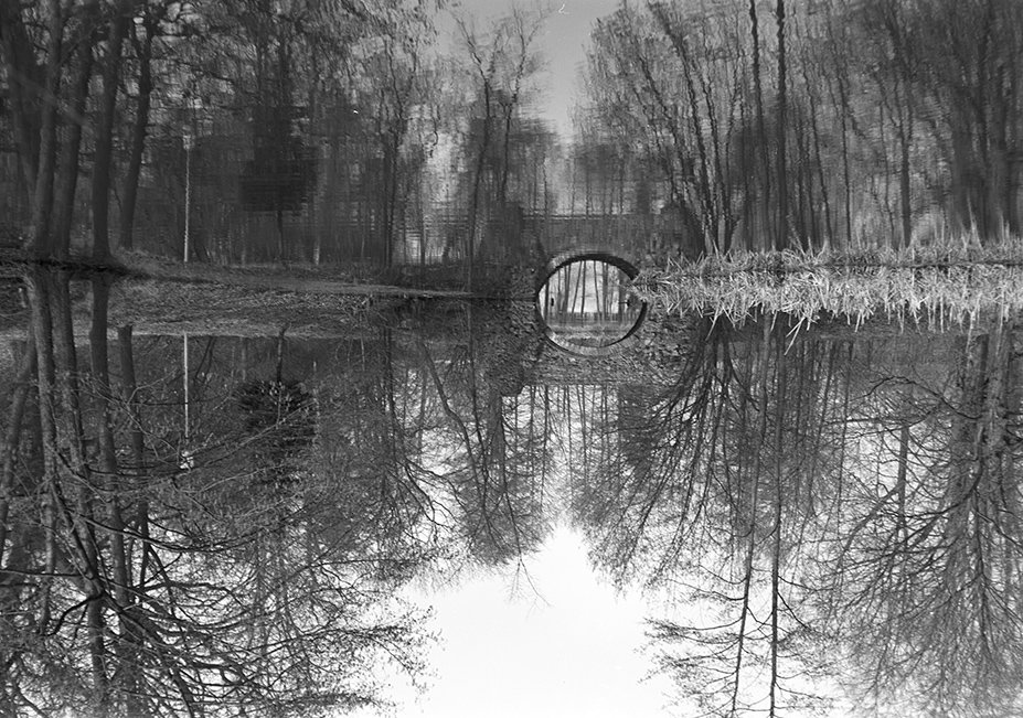 Sonnewalde, Teich im Schlosspark, Ansicht 10 (Heimatverein "Alter Krug" Zossen e. V. CC BY-NC-SA)