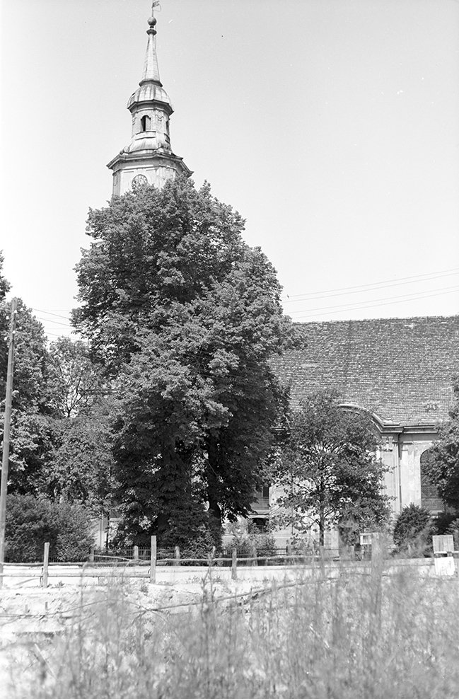 Templin, Sankt-Maria-Magdalena-Kirche, Ansicht 2 (Heimatverein "Alter Krug" Zossen e. V. CC BY-NC-SA)