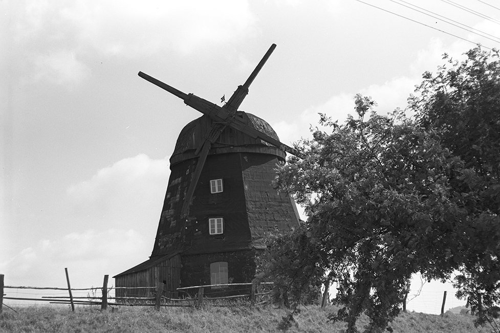 Woldegk, Museumsmühle (Erdholländer) Ansicht 1 (Heimatverein "Alter Krug" Zossen e. V. CC BY-NC-SA)