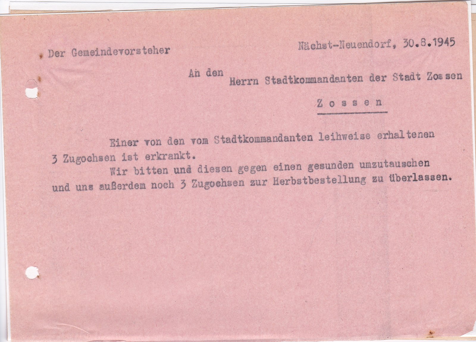 BM an Stadtkommandant, 30.08.1945 (Heimatverein "Alter Krug" Zossen e.V. CC BY-NC-SA)