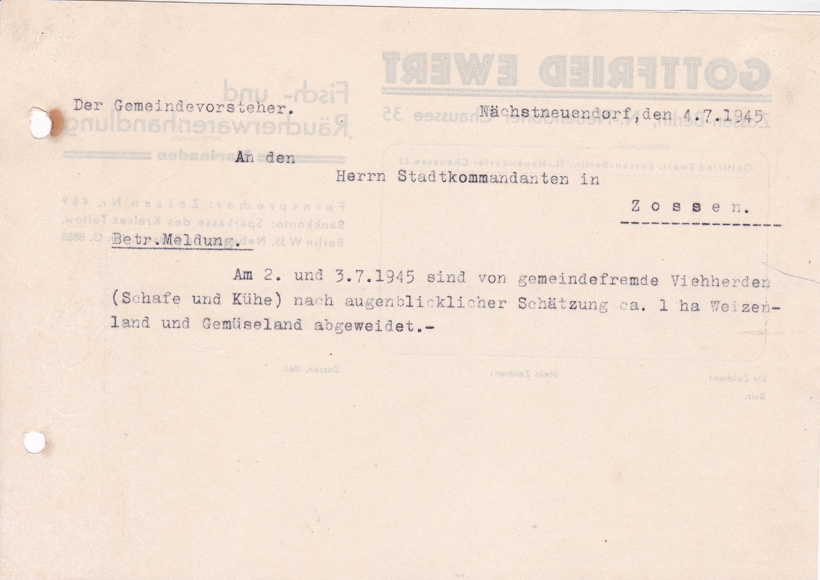 Gemeindevorst. an Stadtkommandant, 04.07.1945 (Heimatverein "Alter Krug" Zossen e.V. CC BY-NC-SA)