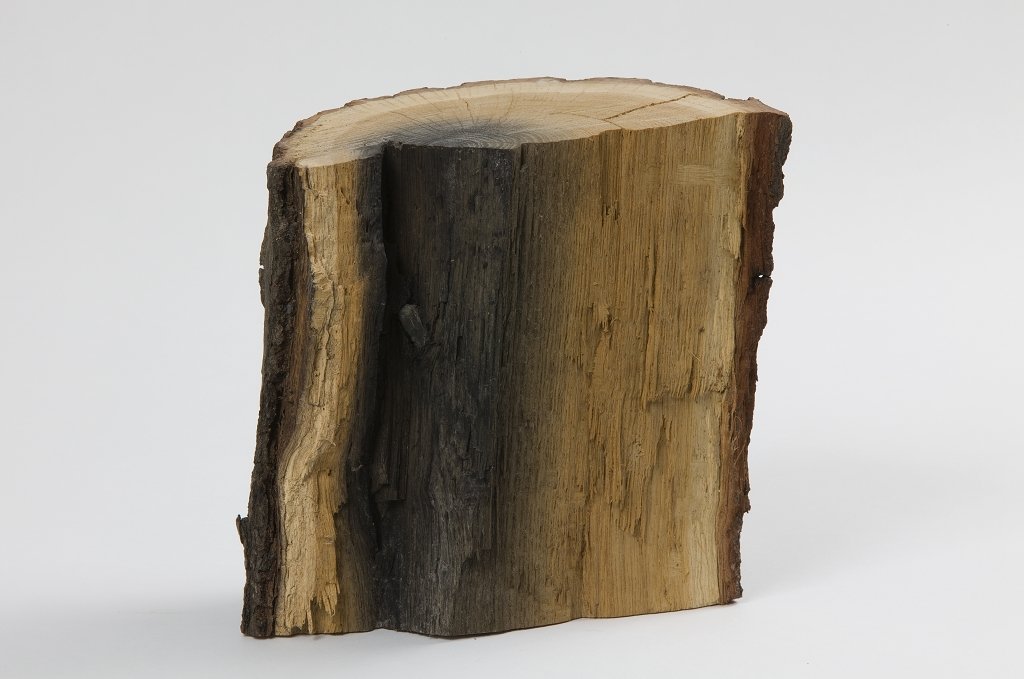Holzstück mit Granatsplitter (Geschichts- und Heimatverein Gusow-Platkow e.V. CC BY-NC-SA)
