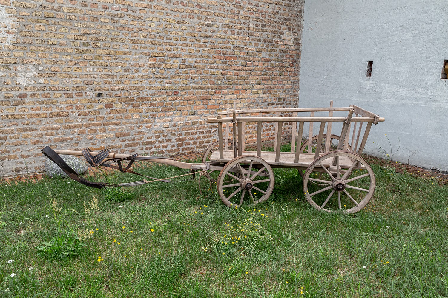 Handwagen mit Hundegeschirr (Dorf- und Heimatmuseum Dreiseitenhof Grebs CC BY-NC-SA)