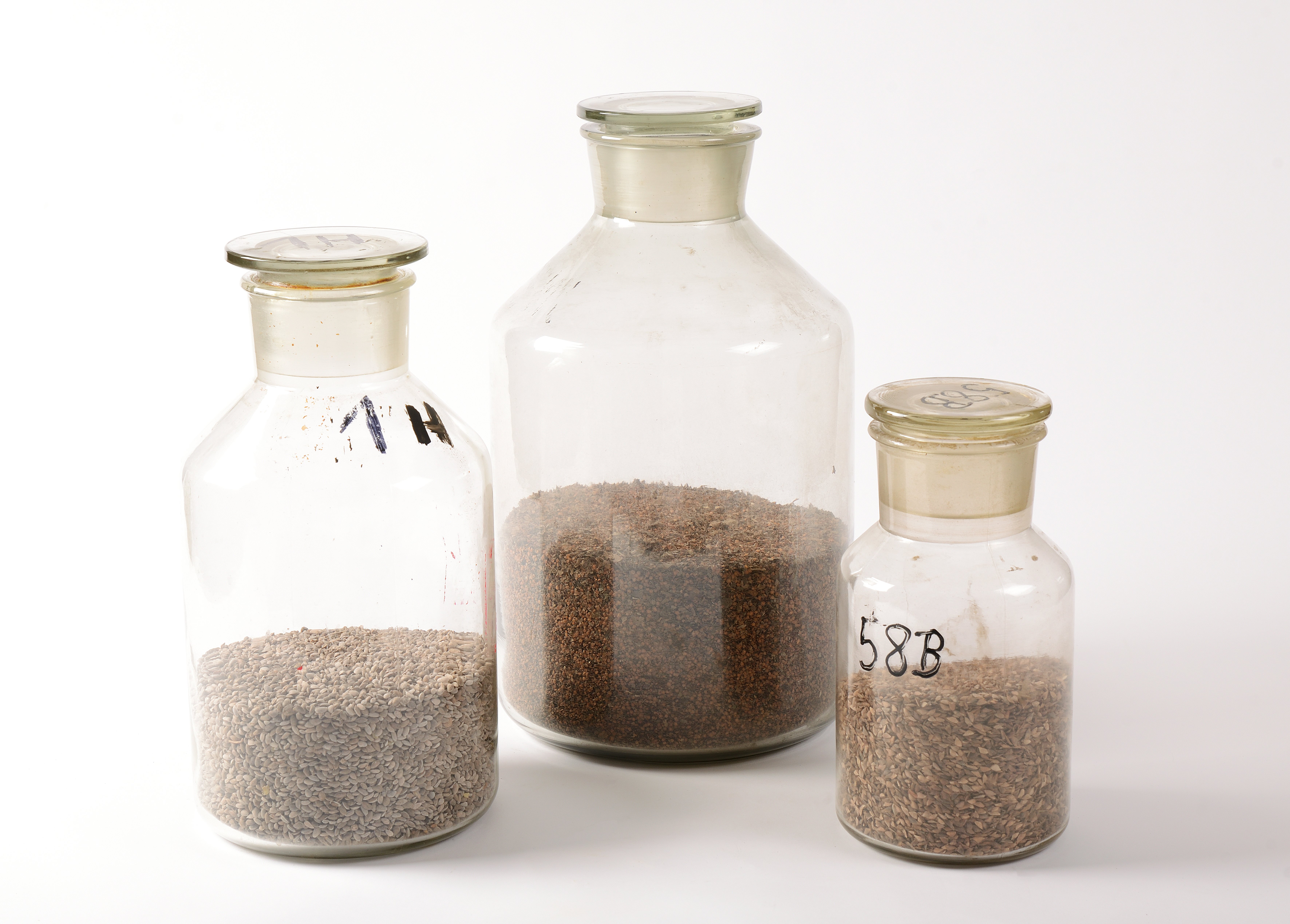 3 Samenbehälter aus Glas (Museum in der Darre CC BY-NC-SA)
