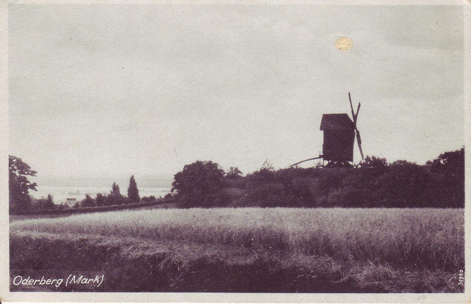 Postkarte Oderberg, Bockwindmühle oberhalb der Chaussee, s/w, ca. 1920er/1940er Jahre. (Binnenschifffahrtsmuseum Oderberg CC BY-NC-SA)