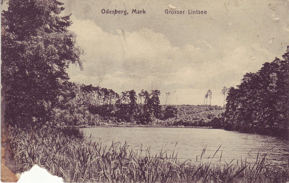 Postkarte Oderberg, Großer Lintsee, 1930er Jahre (Binnenschifffahrtsmuseum Oderberg CC BY-NC-SA)