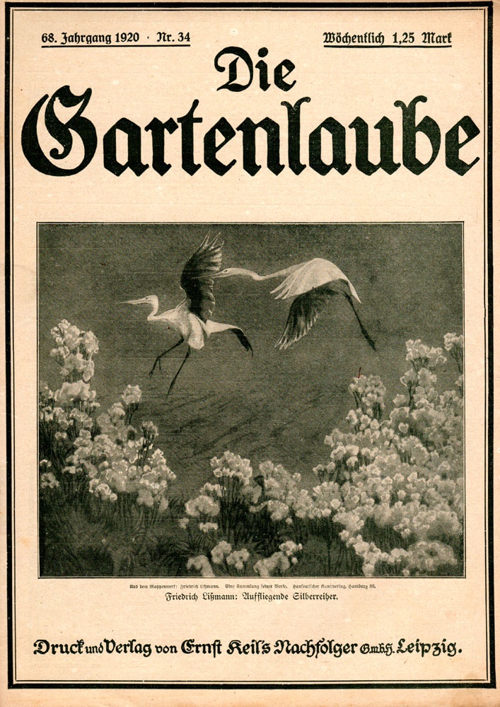 Die Gartenlaube, Nr. 34, August 1920, Titelseite (Kurt Tucholsky Literaturmuseum CC BY-NC-SA)