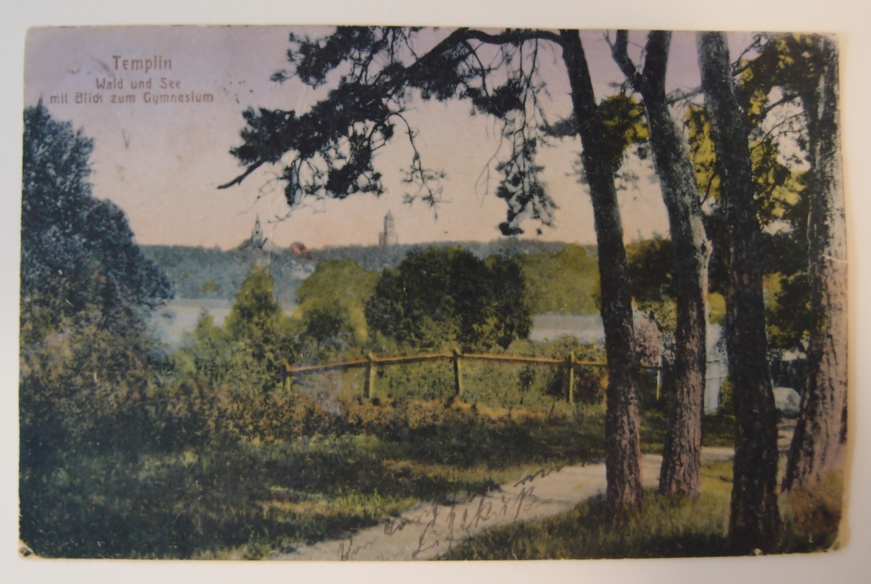 Postkarte Templin Wald und Seen (Museum für Stadtgeschichte Templin CC BY-NC-SA)