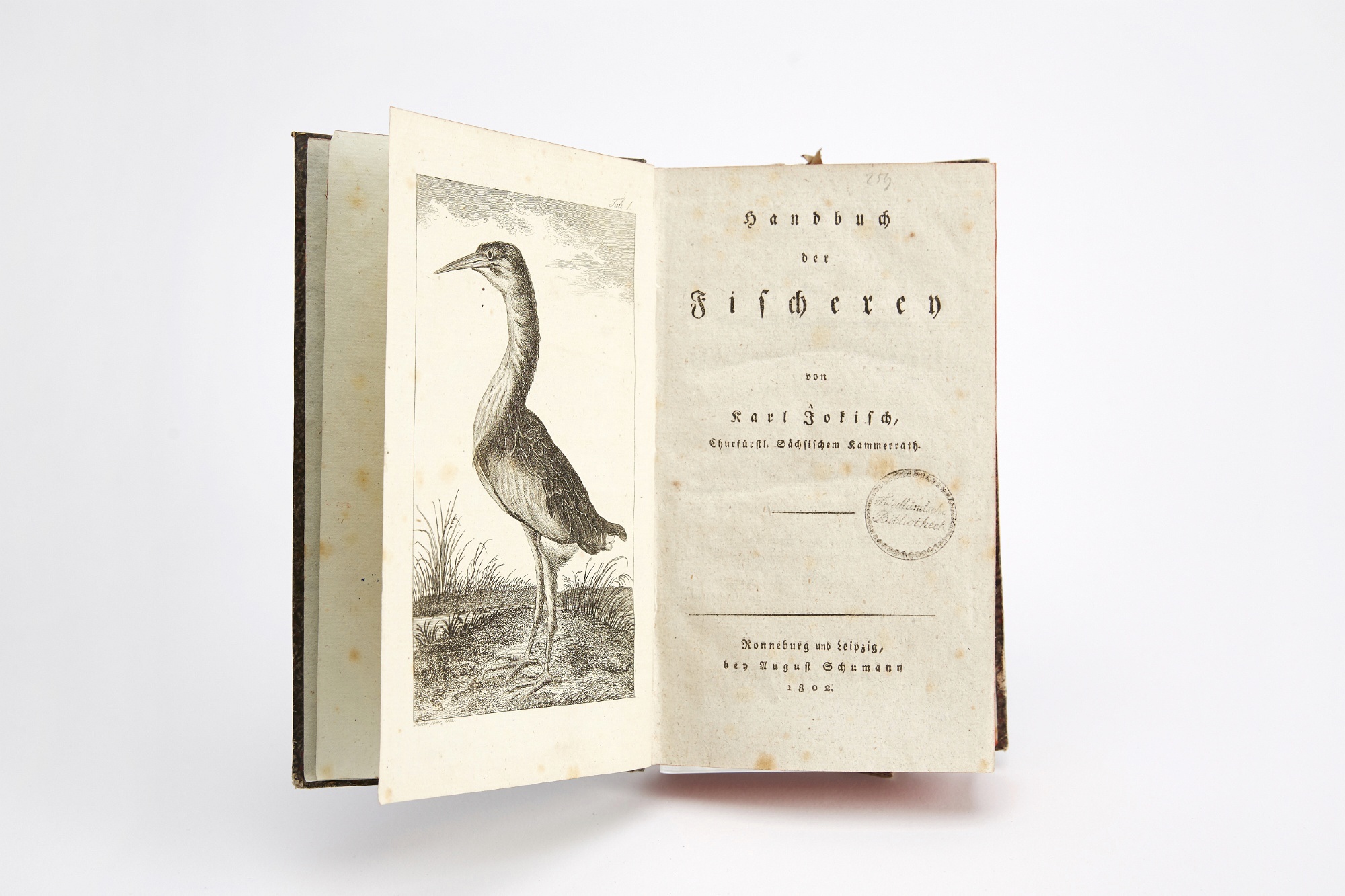 Handbuch der Fischerey (Museum Viadrina CC BY-NC-SA)