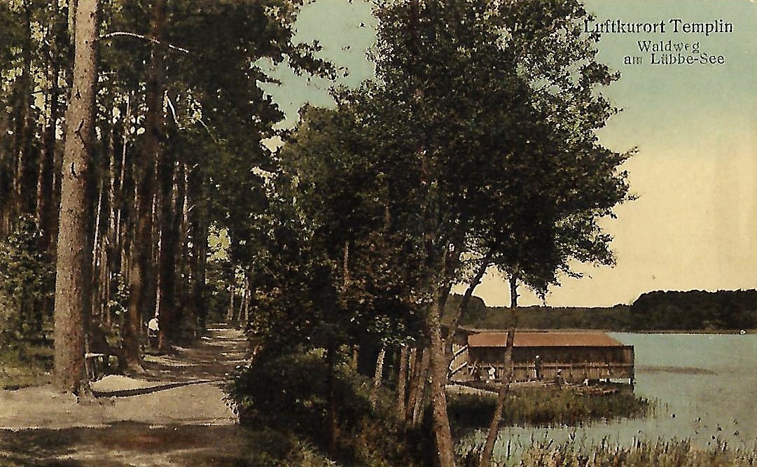 Ansichtskarte Waldweg am Lübbe - See (Museum für Stadtgeschichte Templin CC BY-NC-SA)