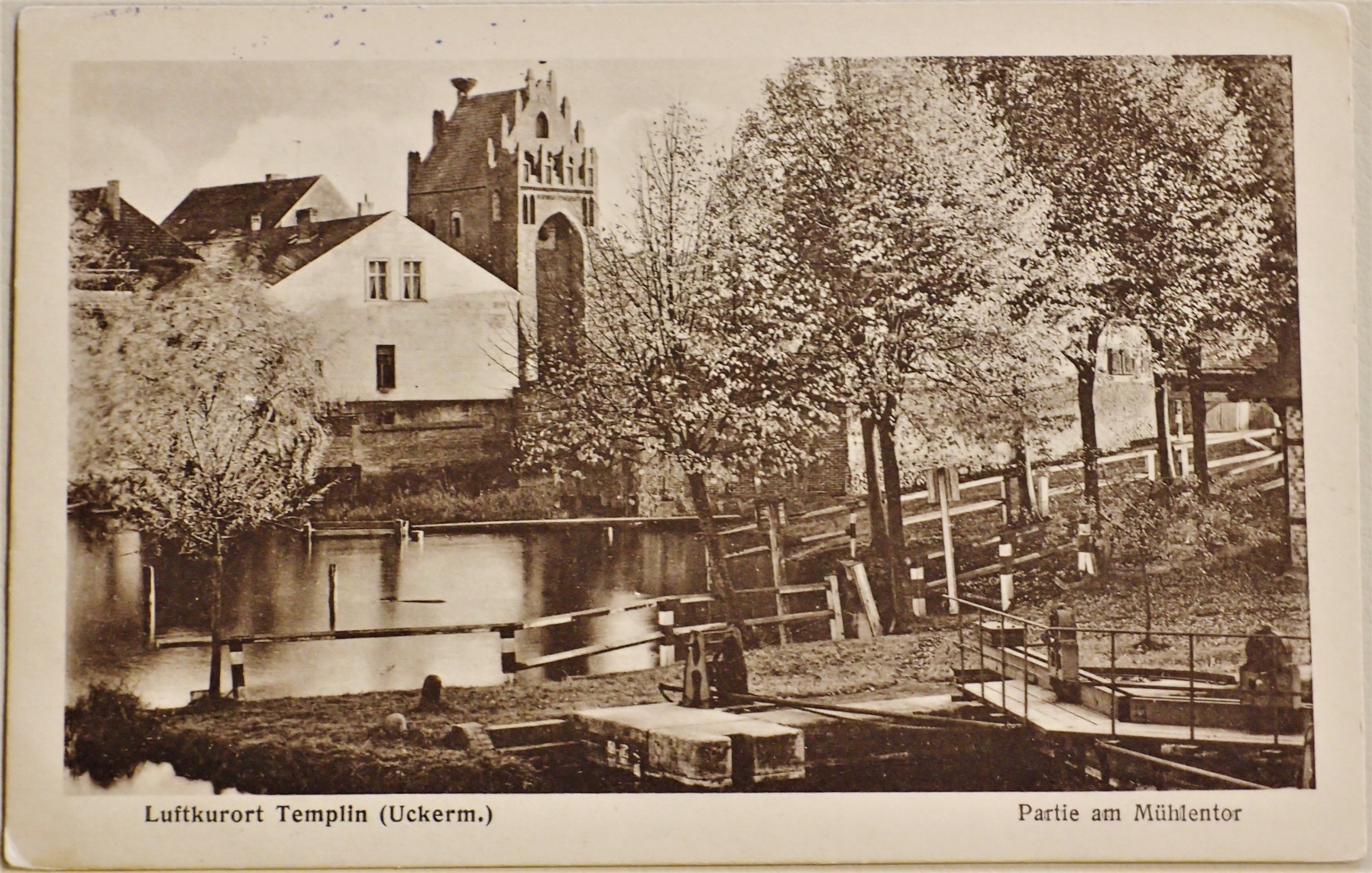 Ansichtskarte "Partie am Mühlentor" in Templin (Museum für Stadtgeschichte Templin CC BY-NC-SA)
