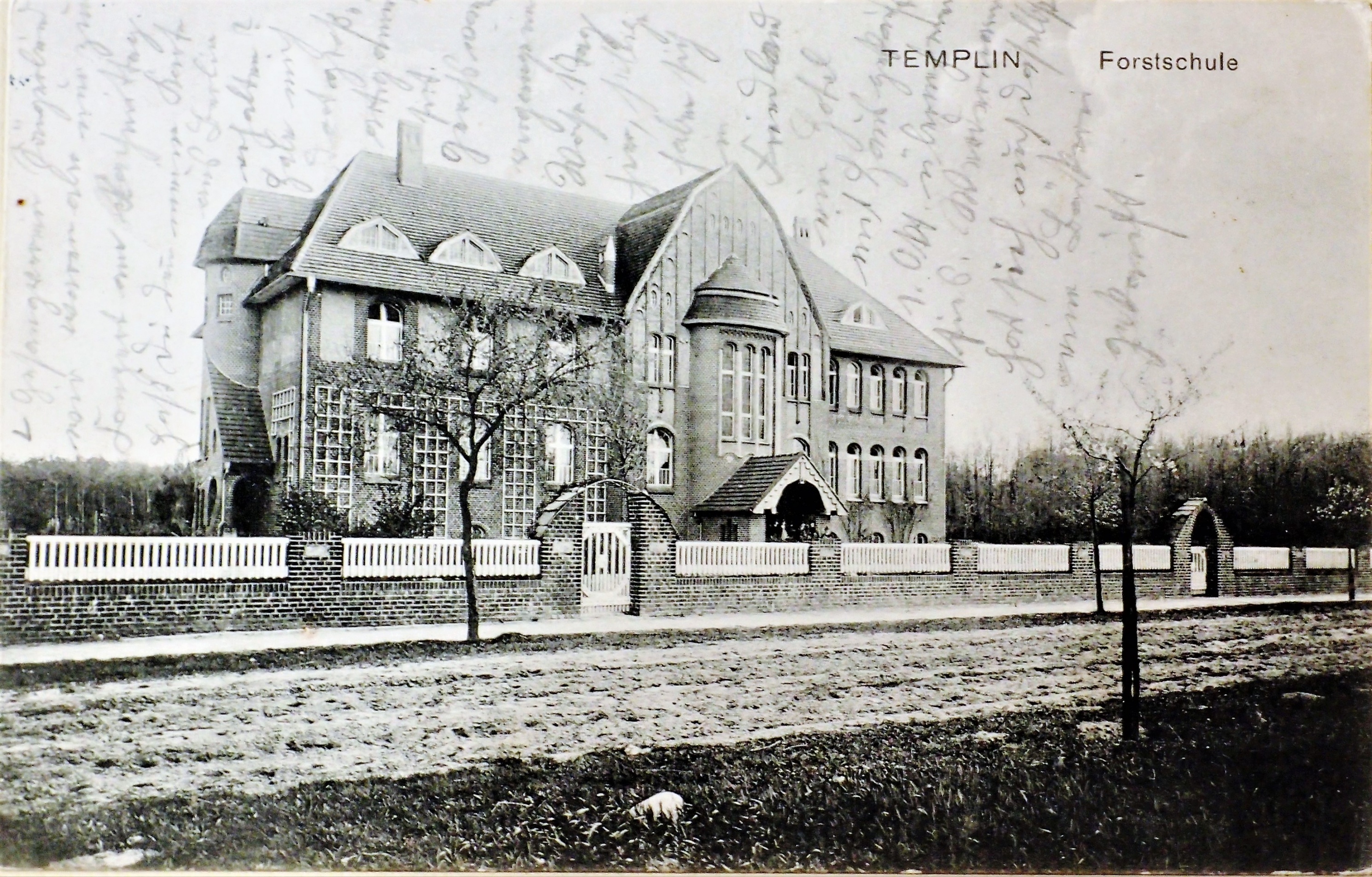 Ansichtskarte Forstschule in Templin (Museum für Stadtgeschichte Templin CC BY-NC-SA)