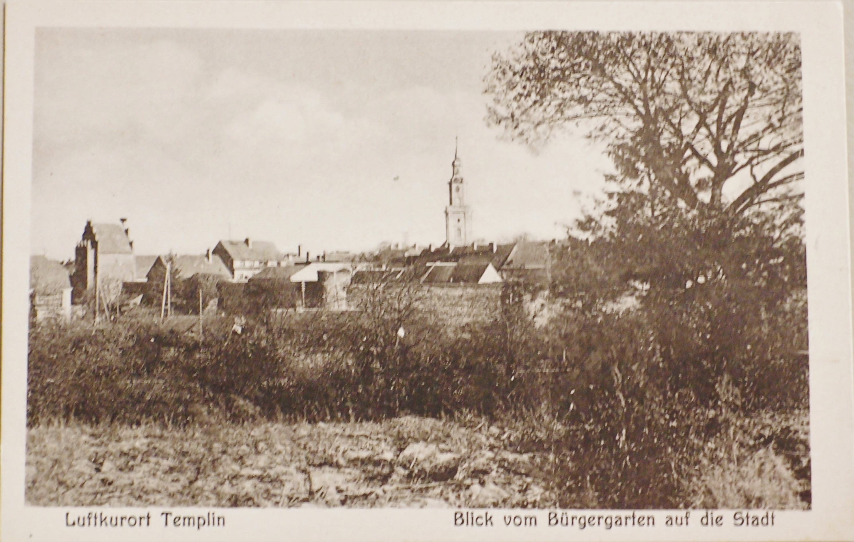 Ansichtskarte "Blick vom Bürgergarten auf die Stadt" in Templin (Museum für Stadtgeschichte Templin CC BY-NC-SA)