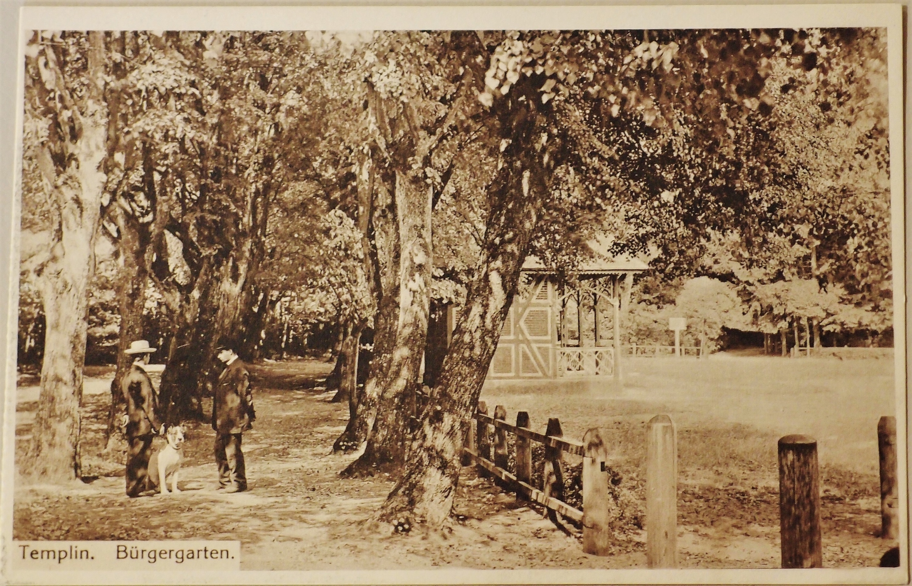 Ansichtskarte Bürgergarten in Templin (Museum für Stadtgeschichte Templin CC BY-NC-SA)