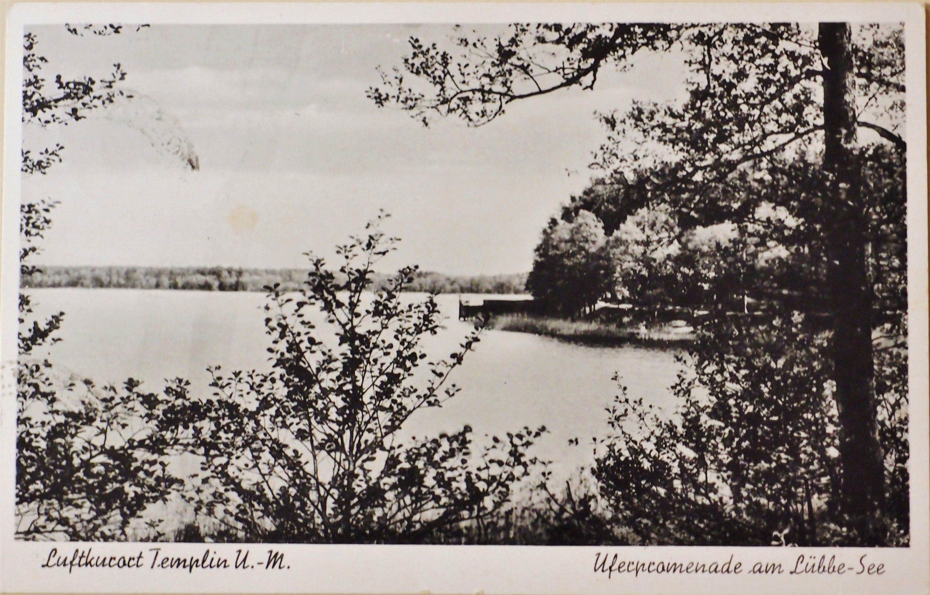 Ansichtskarte die Ufernpromenade am Lübbesee in Templin (Museum für Stadtgeschichte Templin CC BY-NC-SA)