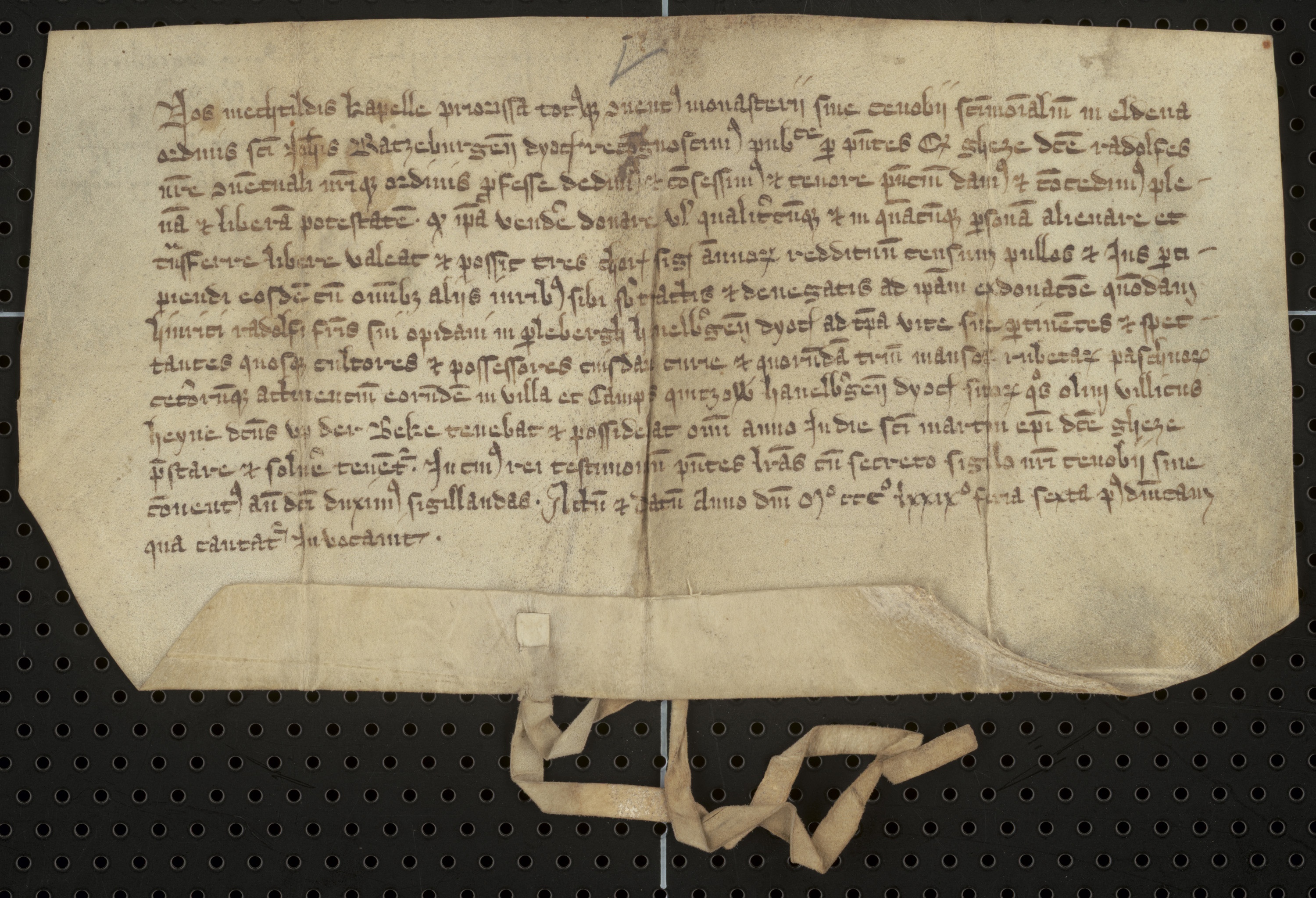 Priorin und Konvent des Nonnenklosters Eldena erteilen...(1379) (Domstiftsarchiv Brandenburg/Havel CC BY-NC-SA)