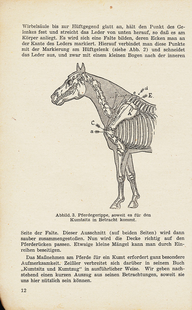 Fachbuch für Sattler (Dorfmuseum Tremmen CC BY-NC-SA)