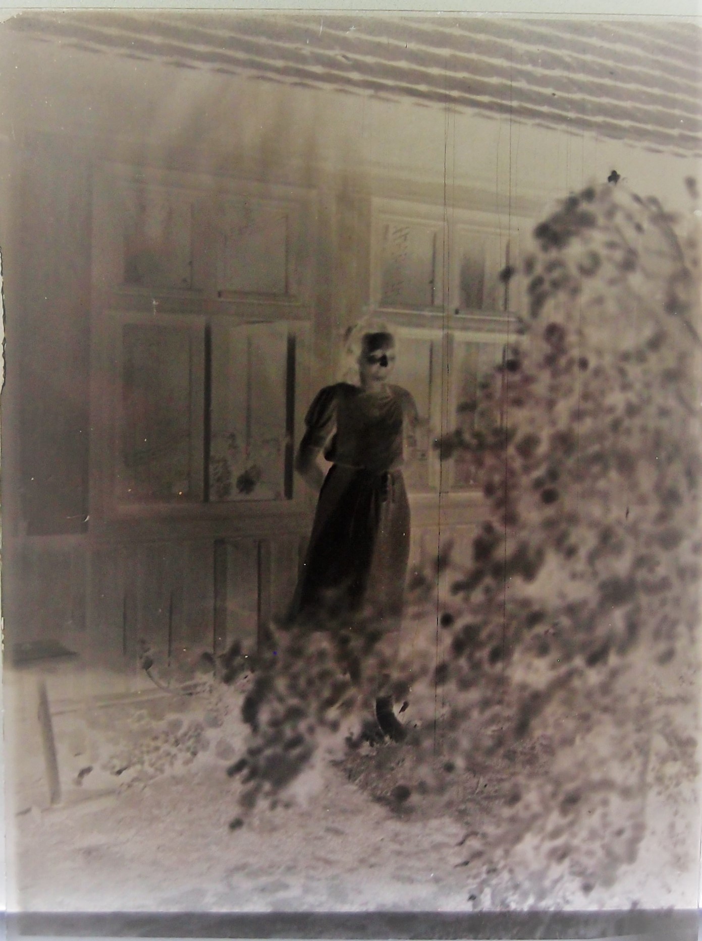Fotoplatte Frau im Garten (Museum für Stadtgeschichte Templin CC BY-NC-SA)