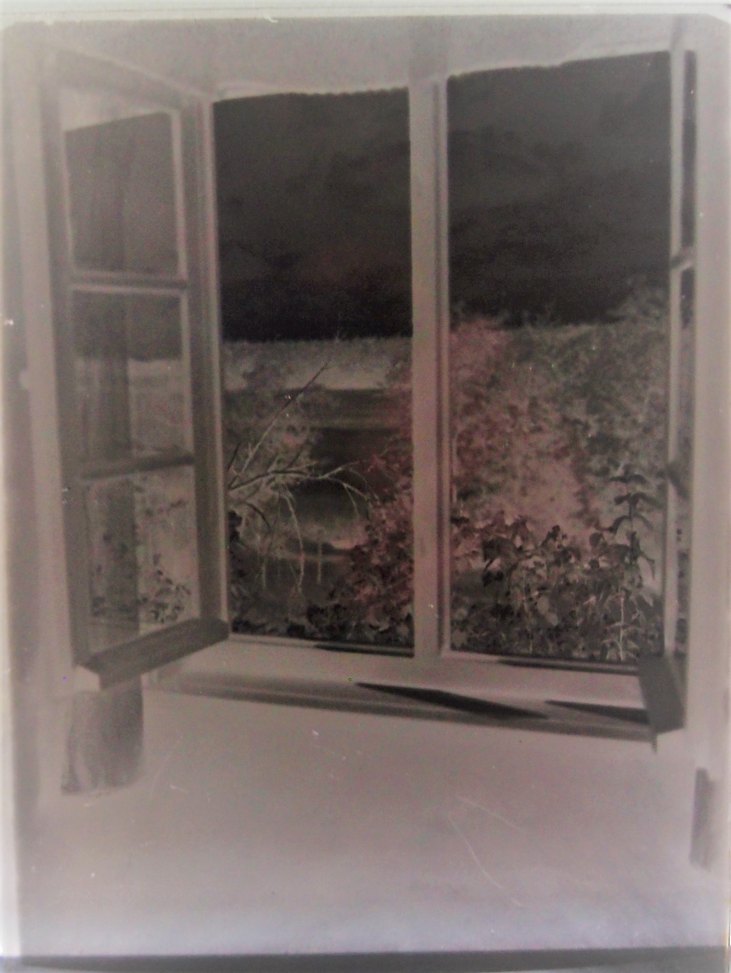 Fotoplatte Blick aus dem Fenster (Museum für Stadtgeschichte Templin CC BY-NC-SA)