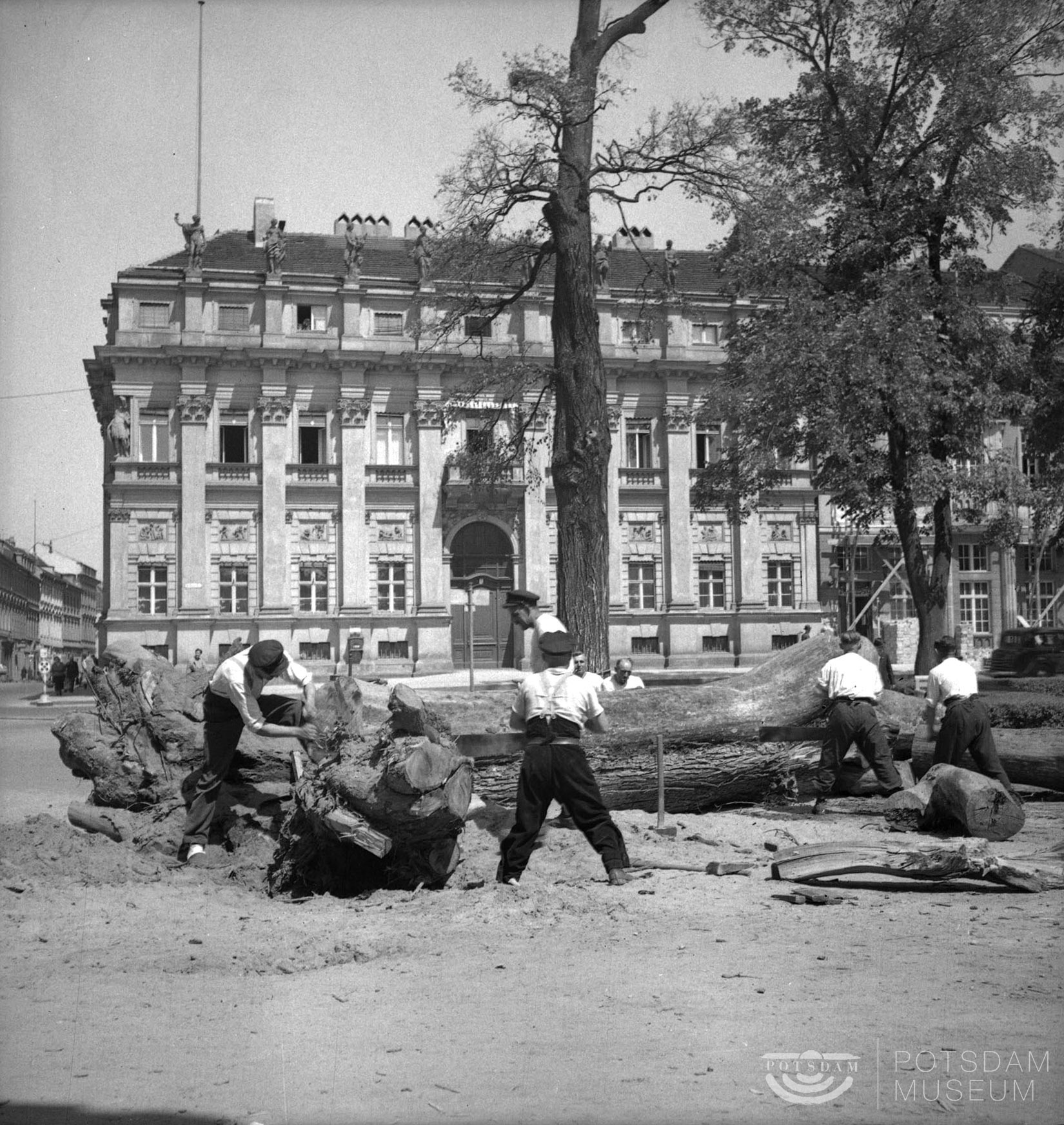 Potsdam, Baumfällarbeiten am Schloßplatz (Potsdam Museum - Forum für Kunst und Geschichte CC BY-NC-SA)