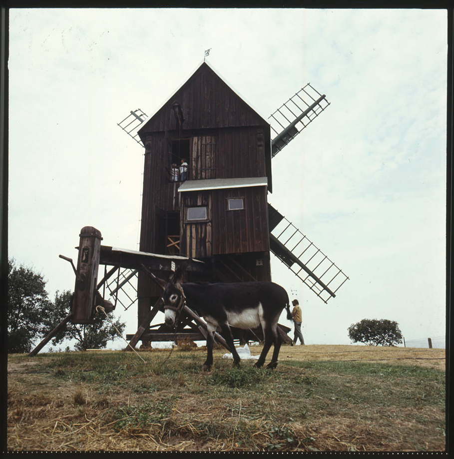 Bockwindmühle Lebusa (Historische Mühle von Sanssouci CC BY-NC-ND)