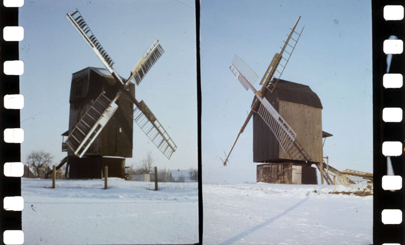 Bockwindmühlen Ausleben (Historische Mühle von Sanssouci CC BY-NC-ND)