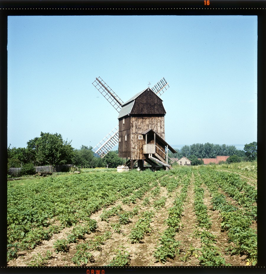 Bockwindmühle Tüngeda (Historische Mühle von Sanssouci CC BY-NC-ND)
