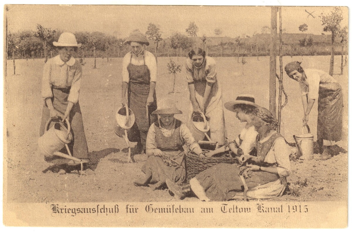 Kriegsauschuß für Gemüsebau am Teltow Kanal 1915 (Heimatmuseum Stadt Teltow CC BY-NC-SA)