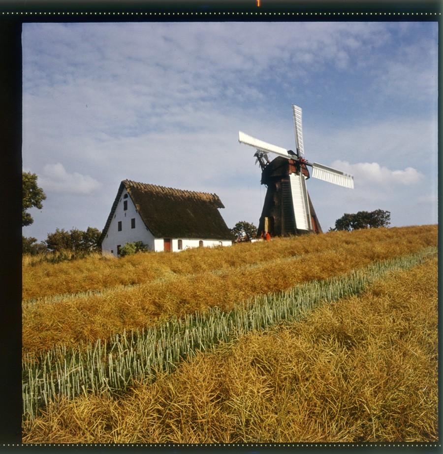 Erdholländerwindmühle Havnbjerg (Historische Mühle von Sanssouci CC BY-NC-ND)