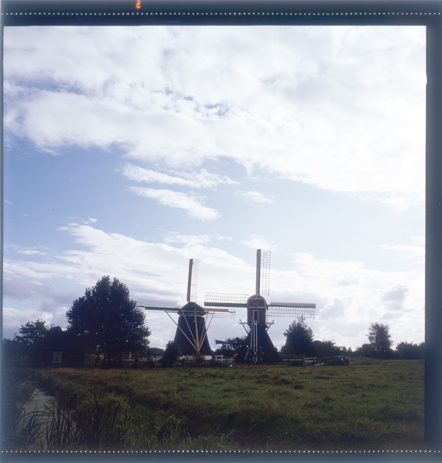 Holländerwindmühle van de Polder Westbroek und Wippmühle van de Polder Buitenweg (Historische Mühle von Sanssouci CC BY-NC-ND)