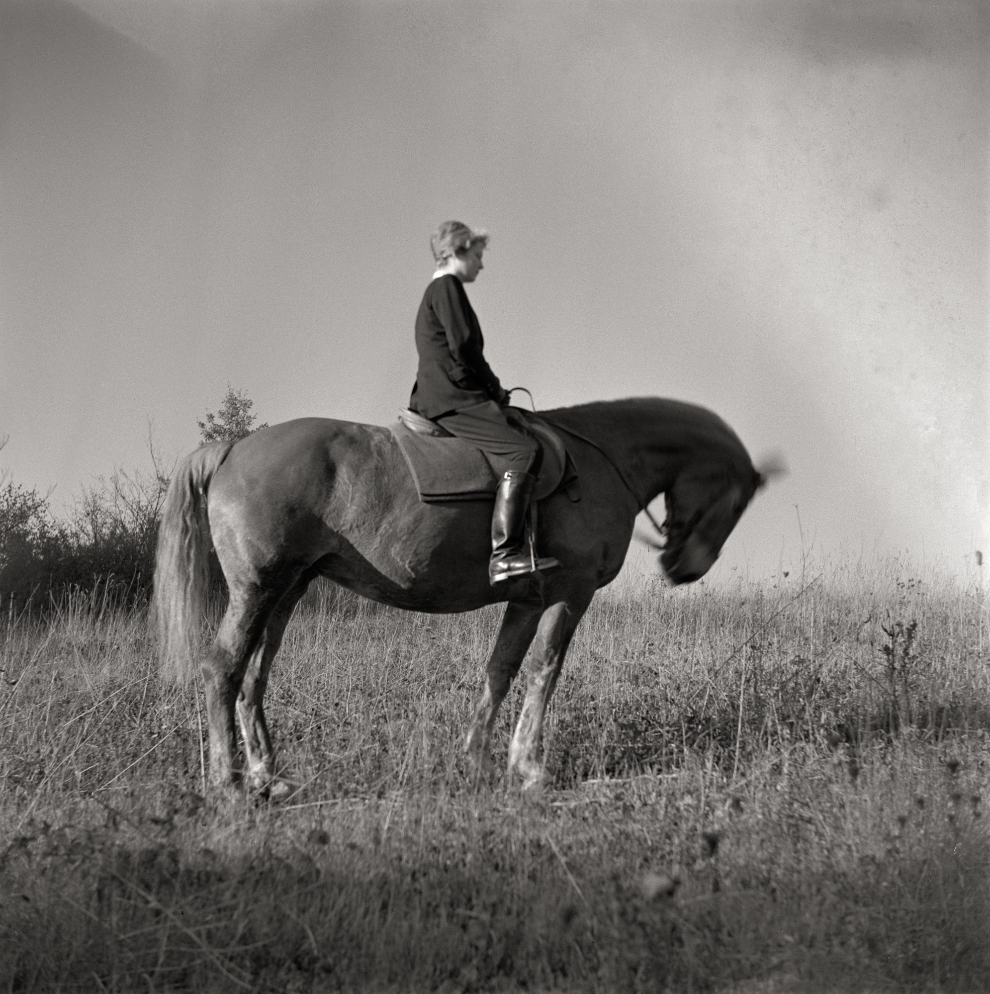 Fotografie einer Reiterin auf ihrem Pferd (Müllroser Heimatmuseum im Haus des Gastes CC BY-NC-SA)