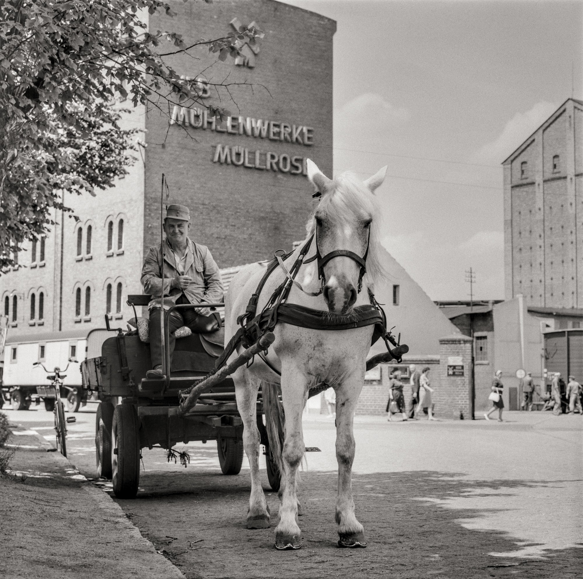 Fotografie eines Pferdewagen mit Kutscher in der Seeallee (Müllroser Heimatmuseum im Haus des Gastes CC BY-NC-SA)