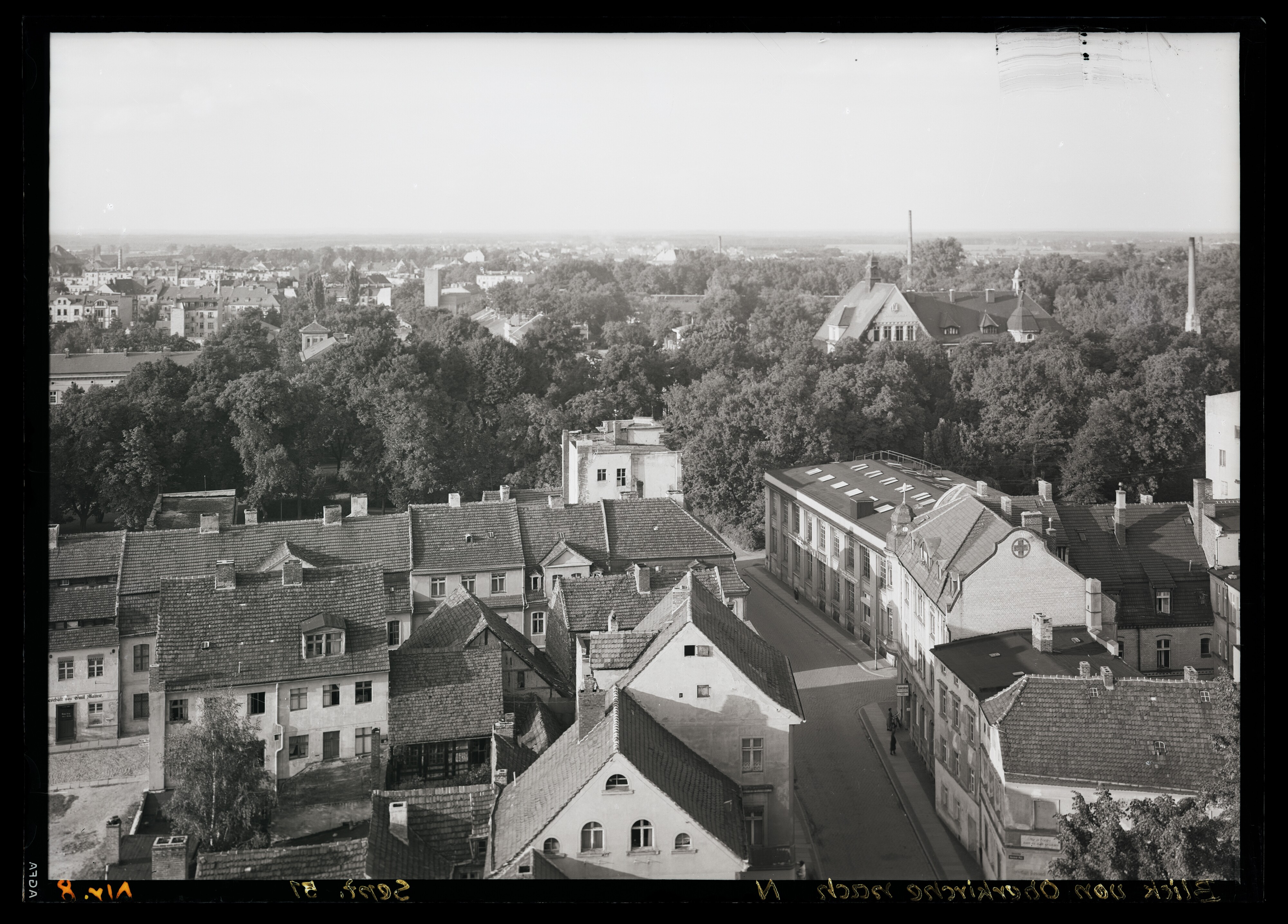 Blick in Richtung Norden auf die ehemalige Turnstraße in Cottbus, 1951 (Stadtmuseum Cottbus CC BY-NC-SA)