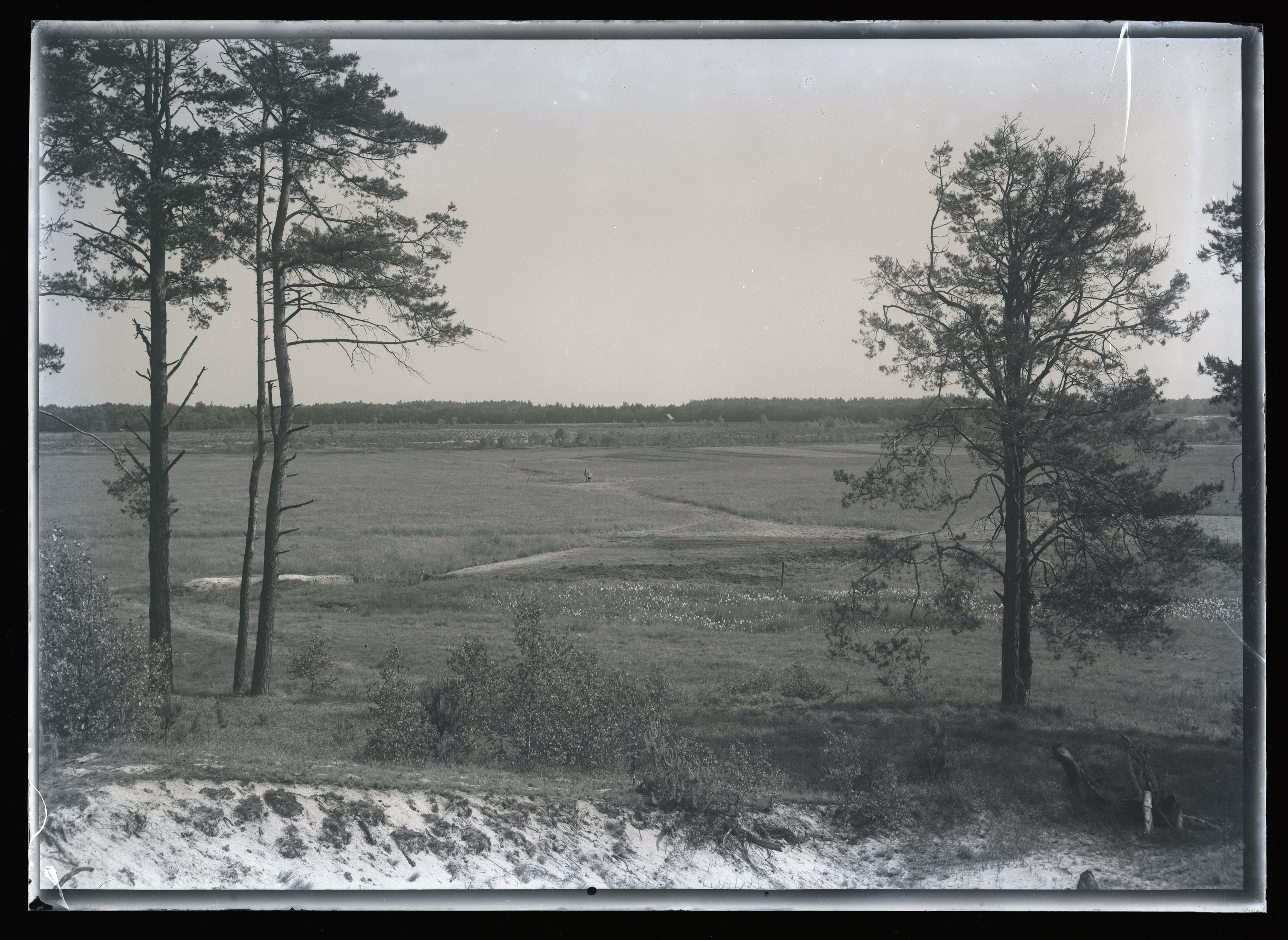 Blick in die weite Landschaft von einem Hügel aus (Stadtmuseum Cottbus CC BY-NC-SA)
