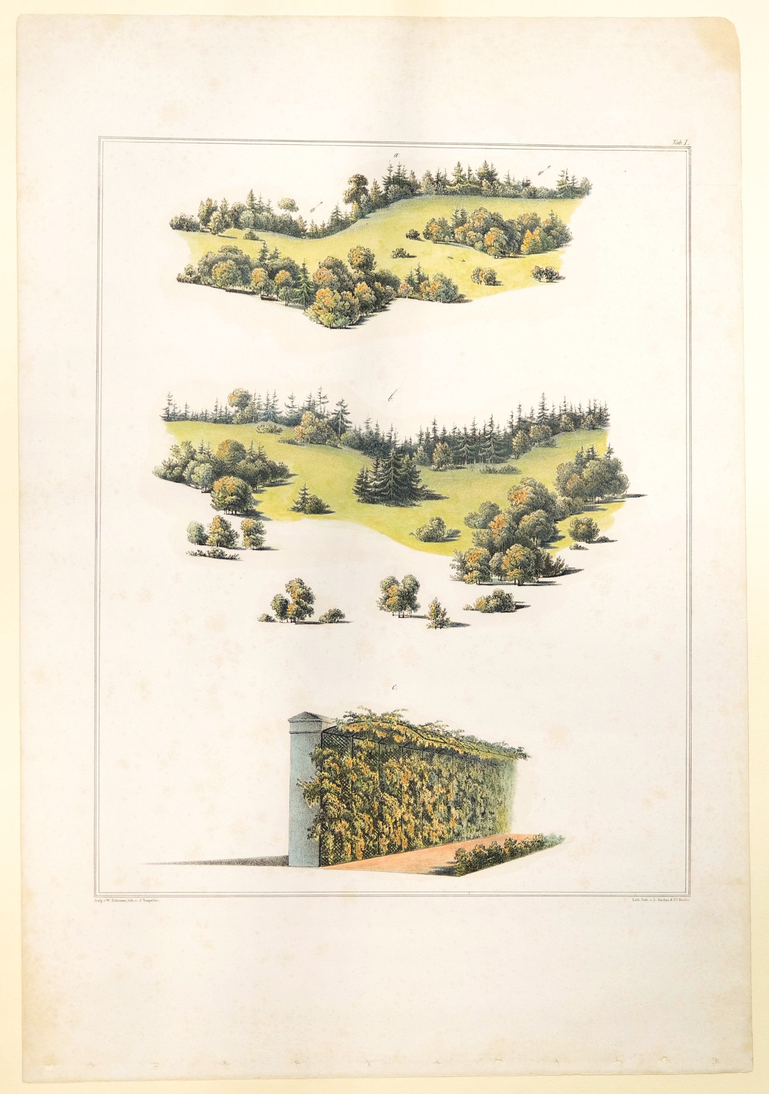 Randpflanzung von Nadelholz, Tafel I der "Andeutungen über Landschaftsgärtnerei" (Stiftung Fürst-Pückler-Museum Park und Schloss Branitz Public Domain Mark)