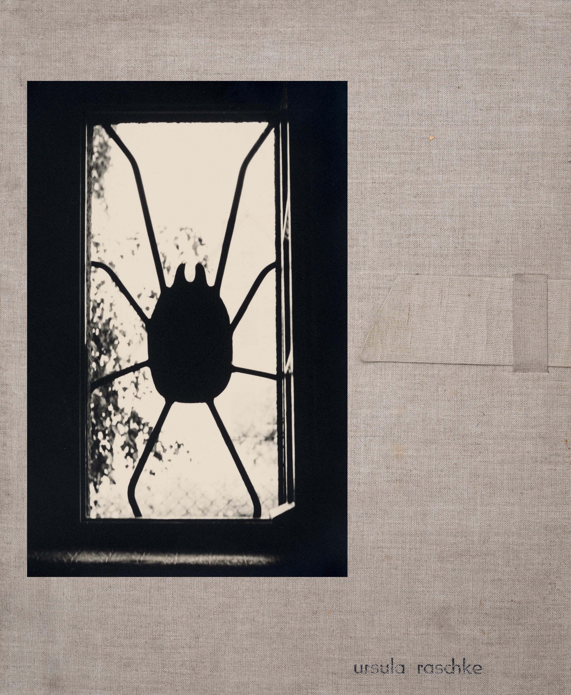 Fotografie einer Fensterspinne im Haus von Ursula Raschke. (Müllroser Heimatmuseum im Haus des Gastes CC BY-NC-SA)